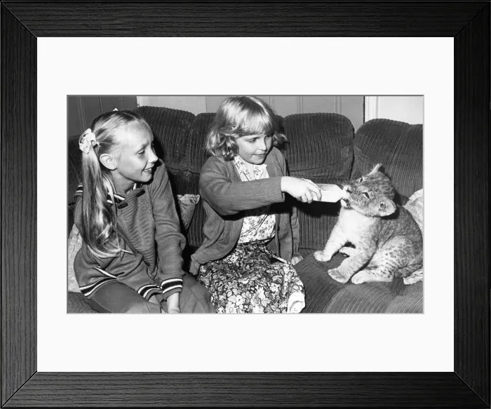 Framed Print : Two young girls bottle feed a young lion cub