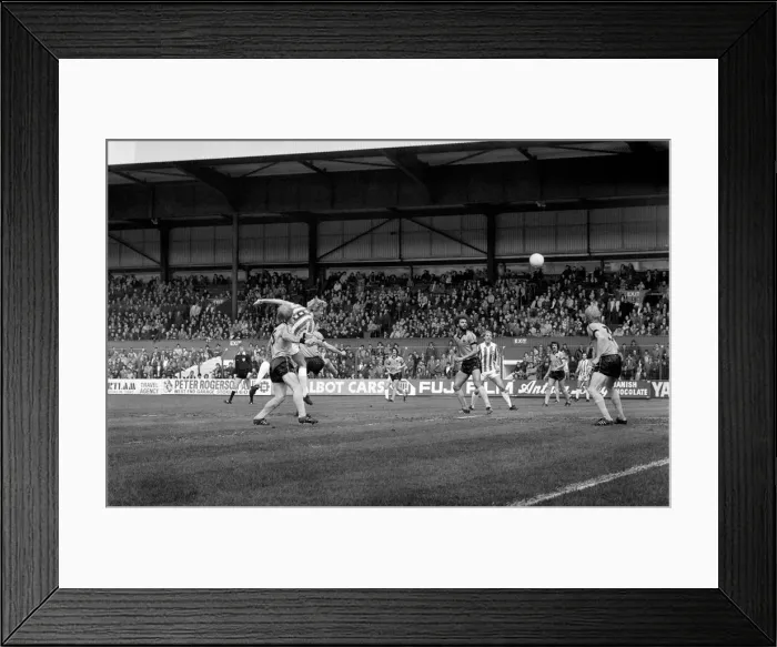 Framed Print : Stoke City 3 v. Wolverhampton Wanderers 2. Division One Football. May 1981 MF02-29-034 Framed Print : Stoke City 3 v. Wolverhampton Wanderers 2. Division One Football. May 1981 MF02-29-034