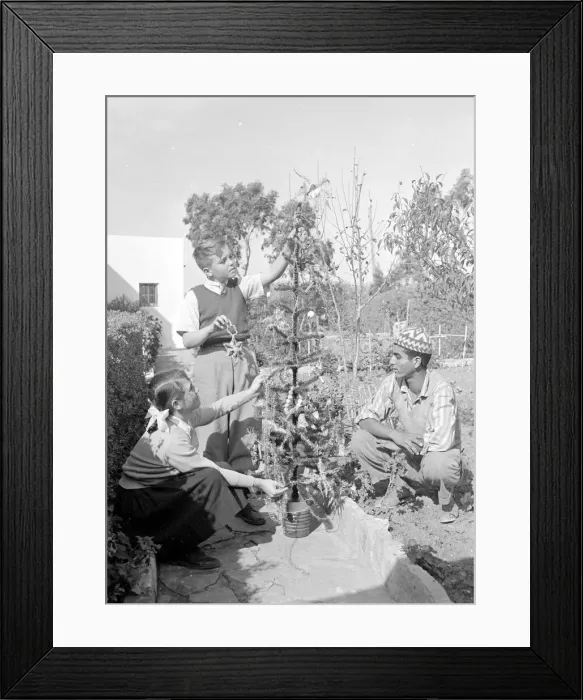 Framed Print : Christmas in Tangier Margaret and John Lea dress their christmas tree with aone of Framed Print : Christmas in Tangier Margaret and John Lea dress their christmas tree with aone of