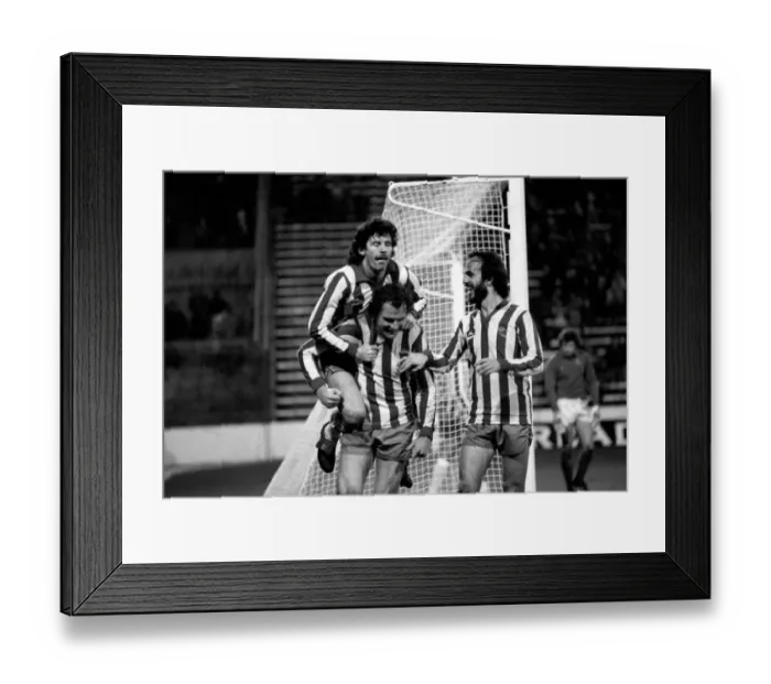 Framed Print : Sheffield Wednesday 4 v. Bristol Rovers 1. Division Two Football. MF01-10-001 Framed Print : Sheffield Wednesday 4 v. Bristol Rovers 1. Division Two Football. MF01-10-001