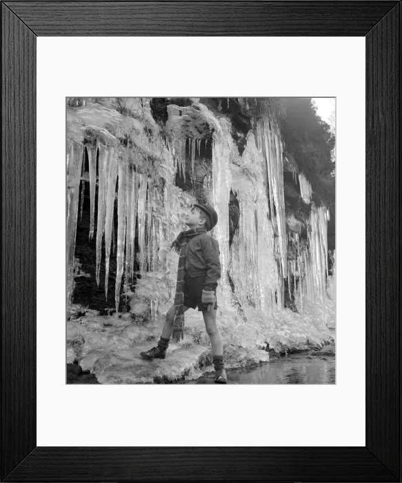 Framed Print : Paddy Lloyd inspects the icicles close to his Derbyshire home December 1952