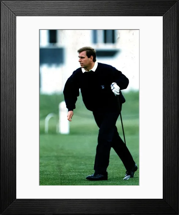 Framed Print : Prince Andrew on new Ailsa course Turnberry golf club driver
