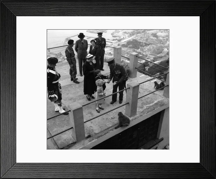 Framed Print : Prince Charles and Princess Anne May 1954 are given food to feed the Barbary Apes Framed Print : Prince Charles and Princess Anne May 1954 are given food to feed the Barbary Apes