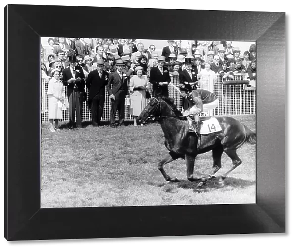 Milford Horseracing & jockey Lester Piggott June 1979 rides past Members of