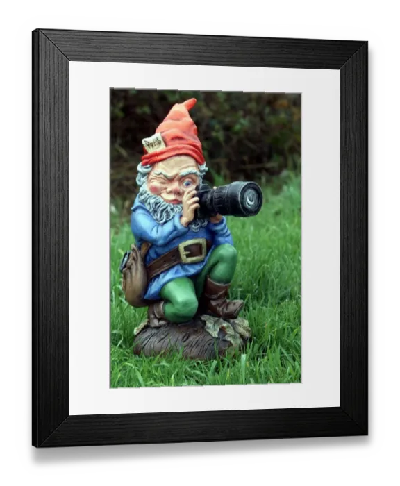 Framed Print : Garden Gnome Photographer with Camera November 1998 Prince Charles 50th Birthday Framed Print : Garden Gnome Photographer with Camera November 1998 Prince Charles 50th Birthday