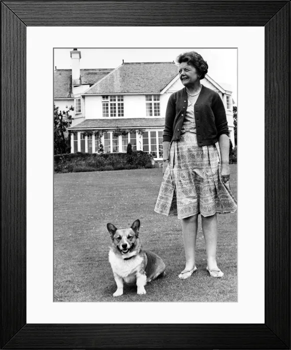 Framed Print : Lady Megan Lloyd George pictured at her home at Brynawelon Framed Print : Lady Megan Lloyd George pictured at her home at Brynawelon
