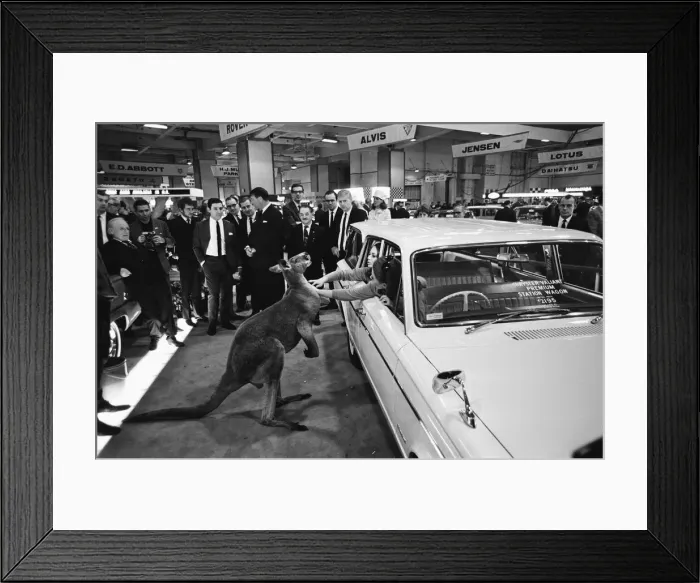 Framed Print : Models pose with a kangaroo on the Chrysler stand at the London Motor Show 18th October