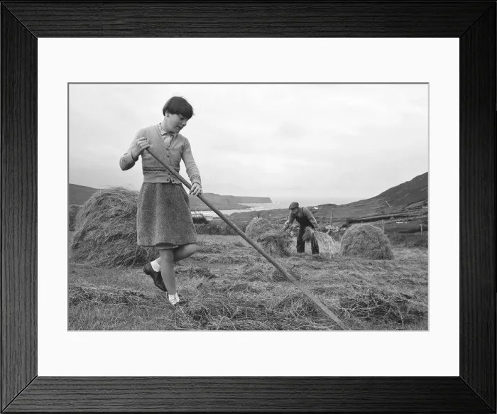 Framed Print : Gathering in the hay on the hills and fields overlooking the Northern Ireland village of