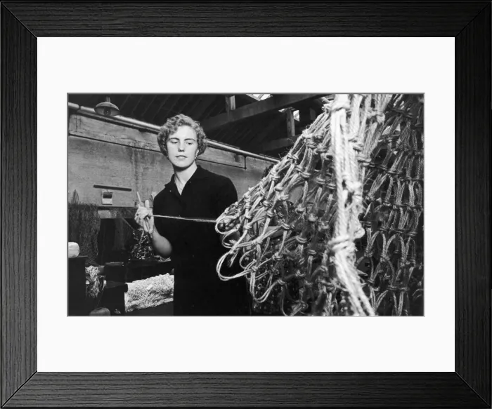 Framed Print : A woman at work in the sheds at the Belfast Ropeworks Company which is the largest Framed Print : A woman at work in the sheds at the Belfast Ropeworks Company which is the largest