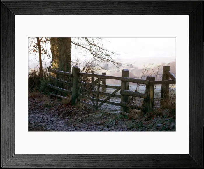 Framed Print : Country Scenes - Forest Circa 1971 Framed Print : Country Scenes - Forest Circa 1971