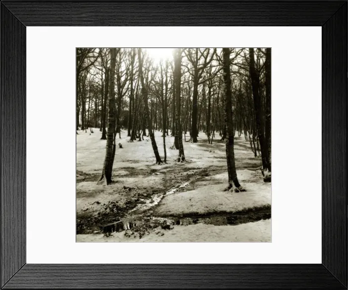 Framed Print : Grovelands Park Southgate in Winter Framed Print : Grovelands Park Southgate in Winter