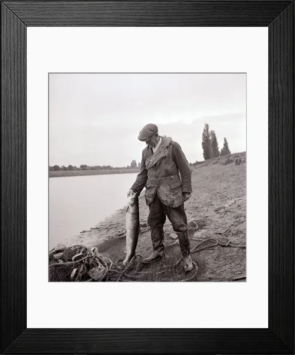 Framed Print : A Gamekeeper holding a Salmon, circa 1935
