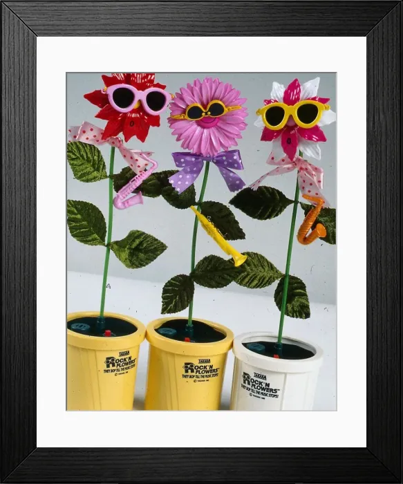 Framed Print : Musicial flowers December 1989 Rock N flowers Framed Print : Musicial flowers December 1989 Rock N flowers