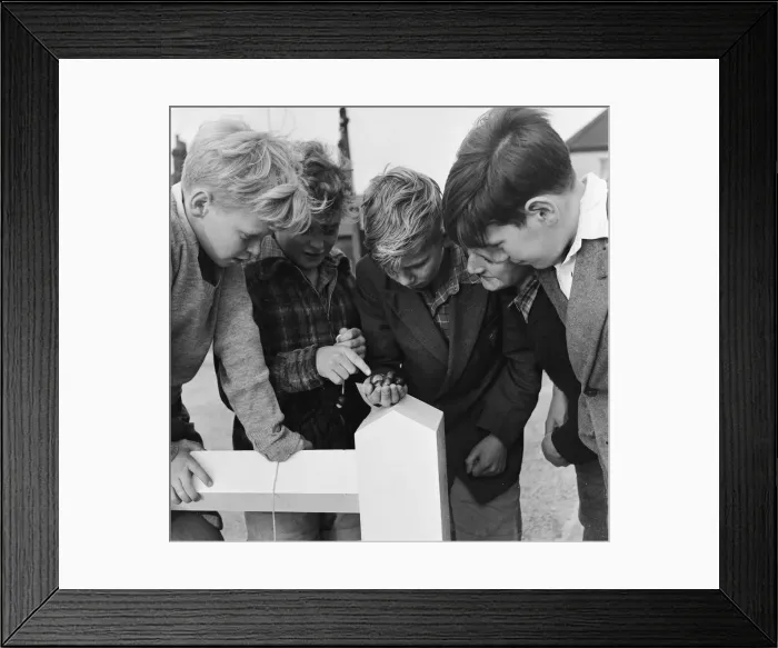 Framed Print : A group of friends taking part in a game of conkers outside their house Framed Print : A group of friends taking part in a game of conkers outside their house