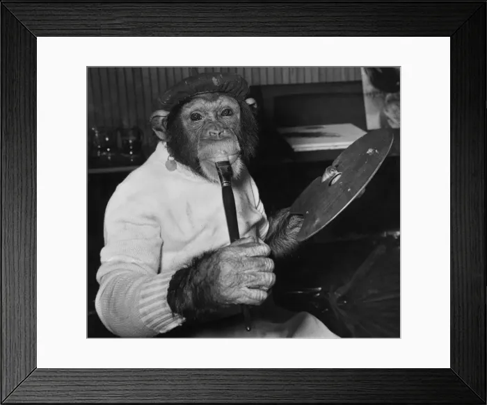 Framed Print : Mandy a painting chimp at the Establishment Club, auditioning for £250 film part Framed Print : Mandy a painting chimp at the Establishment Club, auditioning for £250 film part