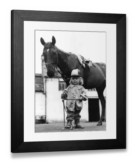 Framed Print : Two year old Rhodrik Blair seen here with racehorse Laughing Boy 1st August 1974