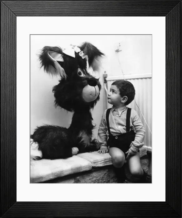 Framed Print : Two year old Benjamin Ross looks on in wonder at the giant toy dog at Riche of Hay Hill