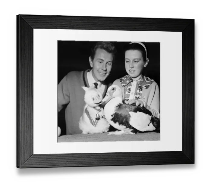Framed Print : Ventriloquist Ray Alan with puppet Quackers, March 1967 Framed Print : Ventriloquist Ray Alan with puppet Quackers, March 1967