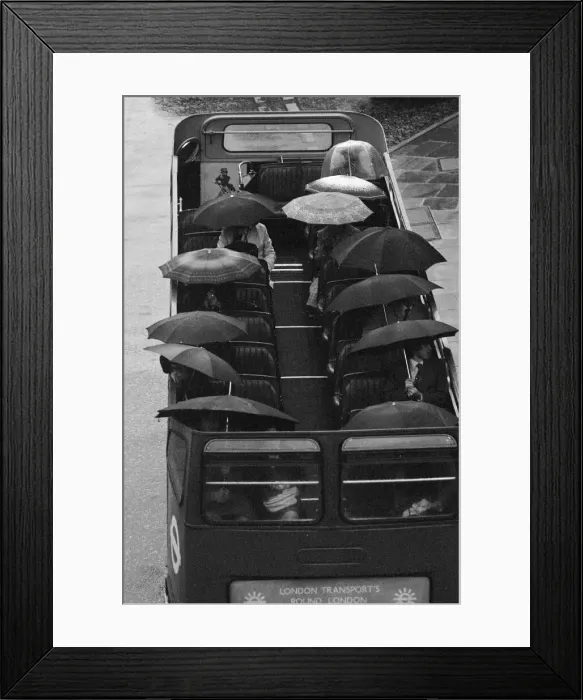Framed Print : Tourists sit underneath their umbrellas on the top deck of an open top bus during a Framed Print : Tourists sit underneath their umbrellas on the top deck of an open top bus during a