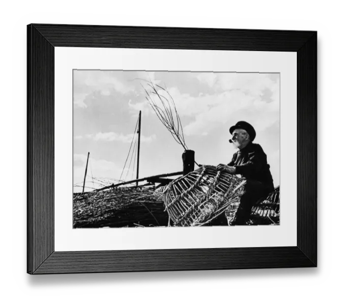 Framed Print : An old man of the Sea This old tar fisherman mends lobster pots