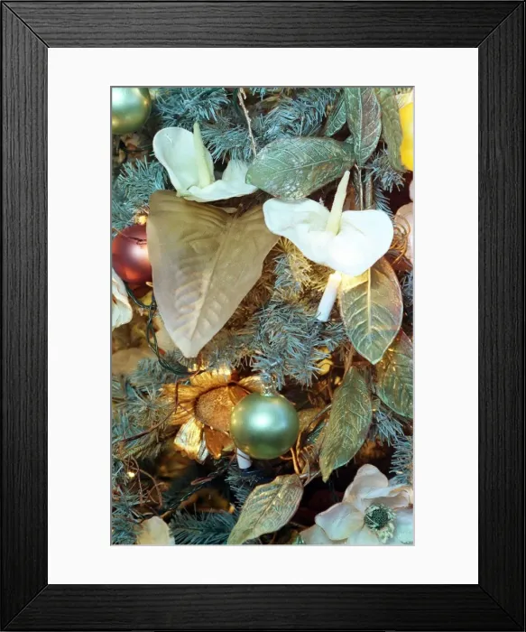 Framed Print : Christmas Tree feature December 1997 Framed Print : Christmas Tree feature December 1997