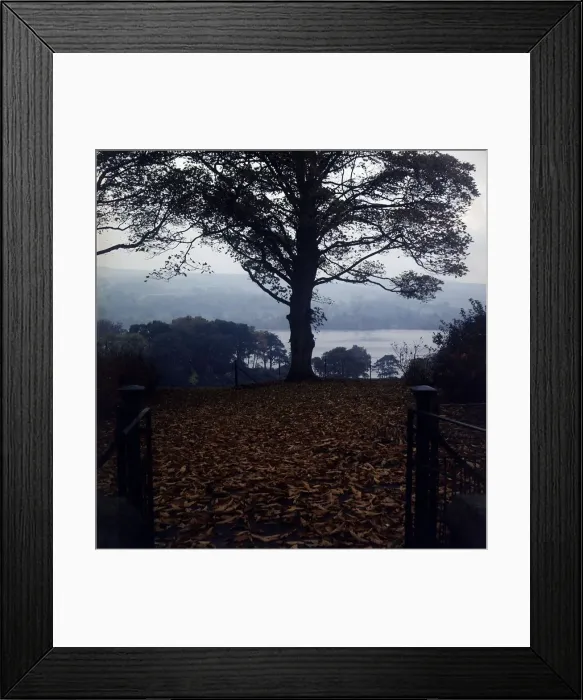 Framed Print : Loch Lomond Park, Scotland Framed Print : Loch Lomond Park, Scotland