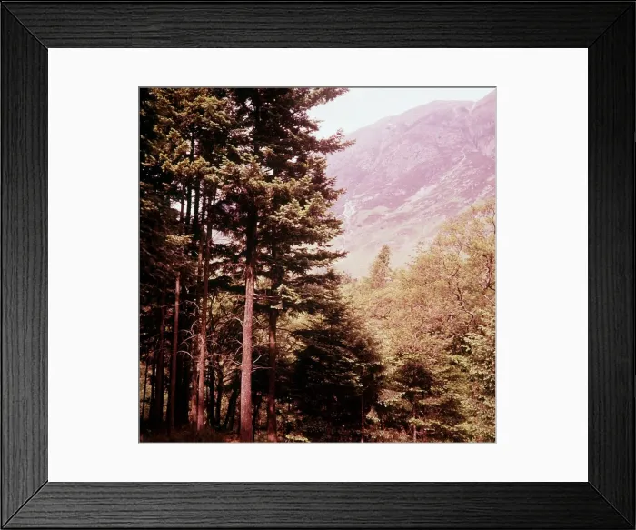 Framed Print : Forest of Glen Coe Scotland fir trees mountains, 1961 (precise date unknown) Framed Print : Forest of Glen Coe Scotland fir trees mountains, 1961 (precise date unknown)