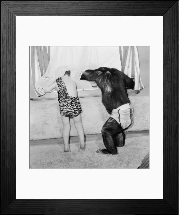 Framed Print : Two year old Francis Foster, son of Frank Foster the ringmaster of the Bertrum Mills