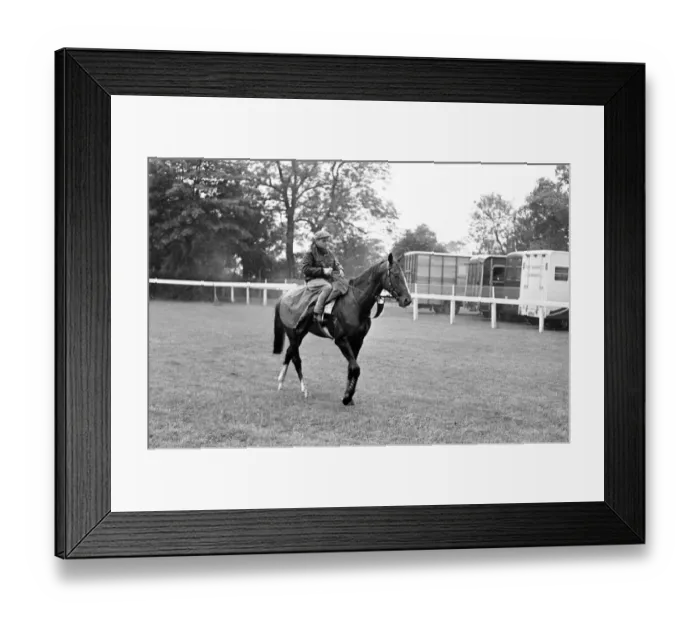 Framed Print : French horse Sea Bird II in training the day before the Epsom Derby horse race Framed Print : French horse Sea Bird II in training the day before the Epsom Derby horse race