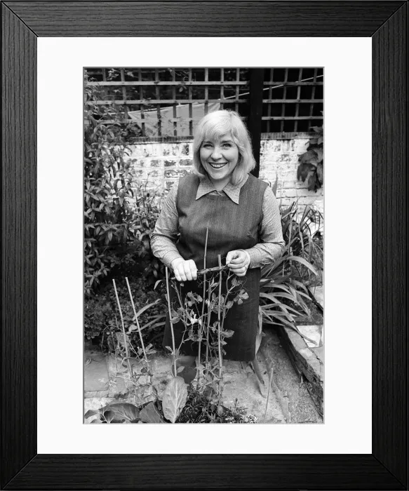 Framed Print : Fay Weldon writer in her Hampstead home July 1967 Framed Print : Fay Weldon writer in her Hampstead home July 1967