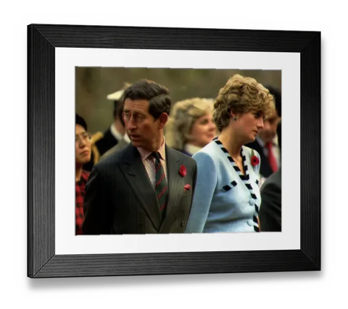 Framed Print : Prince and Princess Of Wales Official Overseas Visit to South Korea