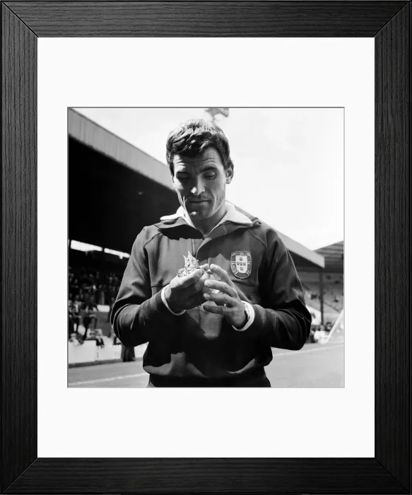 Framed Print : World Cup First Round Group Three match at Old Trafford. Portugal 3 v Bulgaria 0 Framed Print : World Cup First Round Group Three match at Old Trafford. Portugal 3 v Bulgaria 0