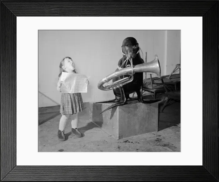 Framed Print : Rosita Ruzza aged three considers that her ideal partner for singing christmas carols Framed Print : Rosita Ruzza aged three considers that her ideal partner for singing christmas carols