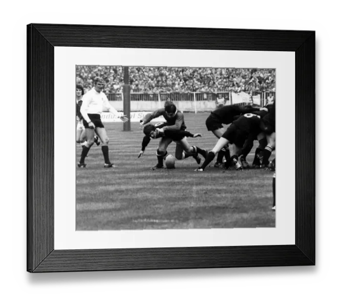 Framed Print : Sport - Rugby - Wales v New Zealand - 11th November 1978 - Welsh scrum half Terry Holmes Framed Print : Sport - Rugby - Wales v New Zealand - 11th November 1978 - Welsh scrum half Terry Holmes