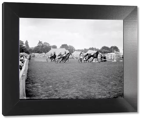 A trotting race taking place at the Birmingham Show