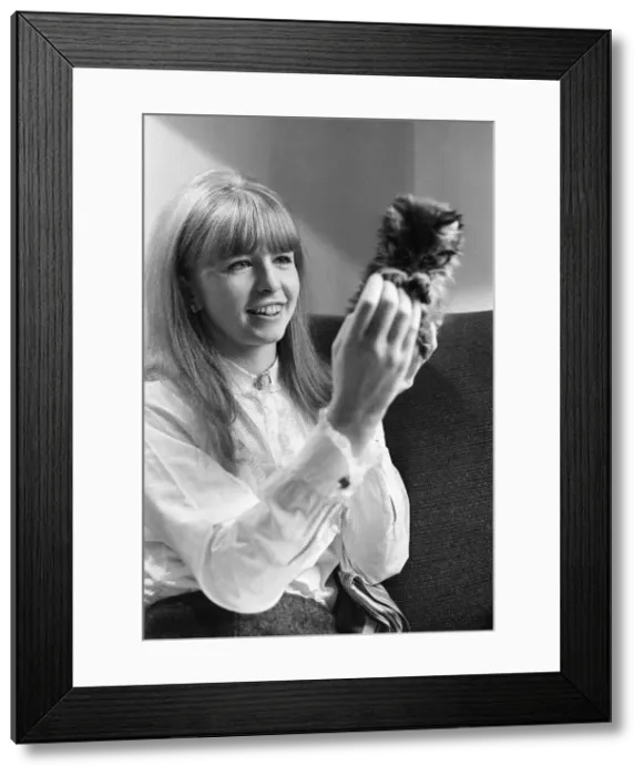 Framed Print : Actress Jane Asher holding a kitten 1965 Framed Print : Actress Jane Asher holding a kitten 1965