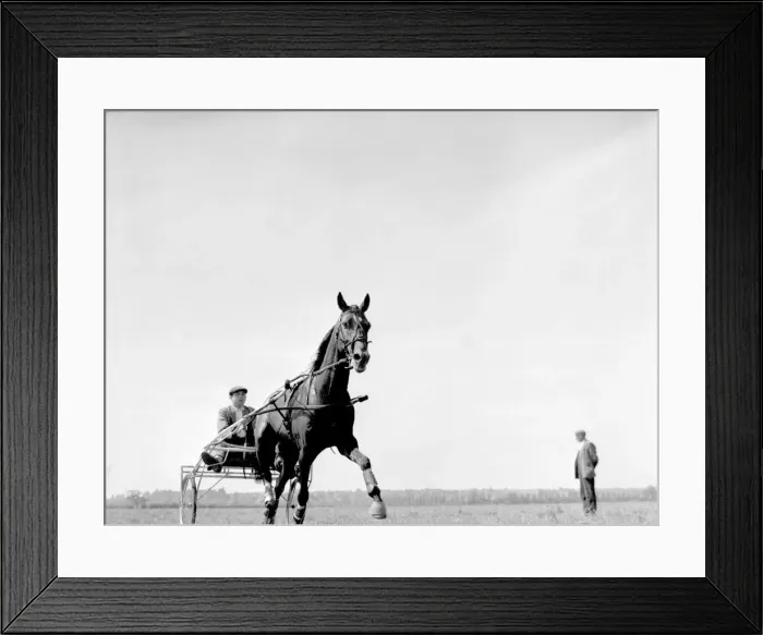 Framed Print : Training for the trotting race to be held at the Birmingham Show, Wisemore