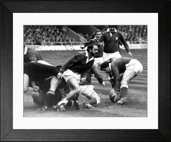 Framed Print : Sport - Rugby - Wales v New Zealand - 11th November 1978 - Clive Rees the Welsh winger Framed Print : Sport - Rugby - Wales v New Zealand - 11th November 1978 - Clive Rees the Welsh winger