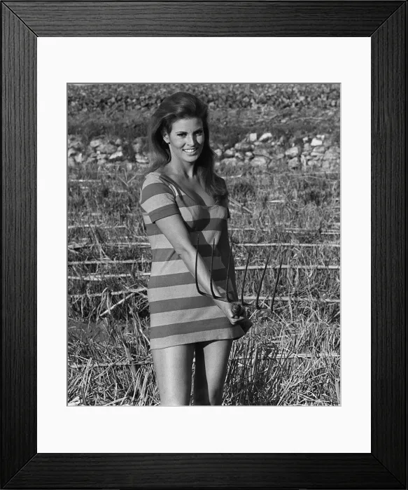 Framed Print : Actress Raquel Welch on location for film shoot 1966 Wearing striped mini dress Framed Print : Actress Raquel Welch on location for film shoot 1966 Wearing striped mini dress