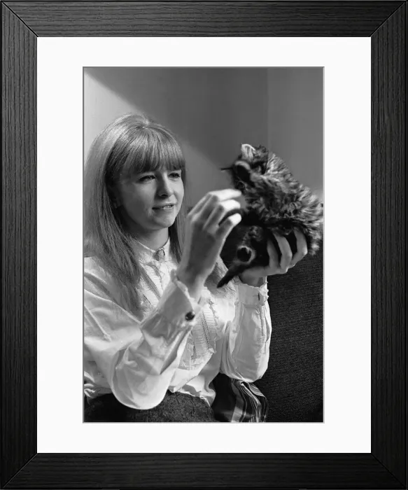 Framed Print : Actress Jane Asher holding a kitten 1965 Framed Print : Actress Jane Asher holding a kitten 1965