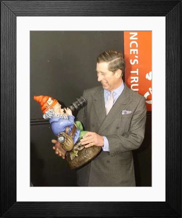 Framed Print : Prince Charles and a garden gnome November 1998 The gnome was a 50th birthday gift