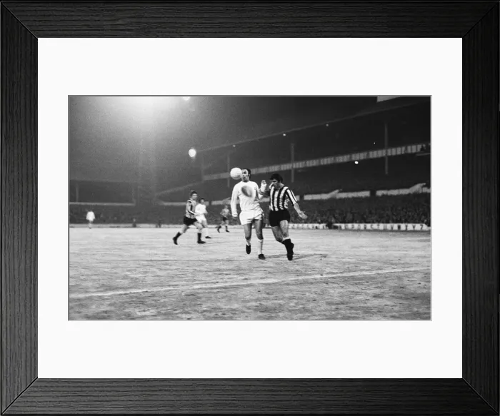 Framed Print : FA Cup Third Round replay at White Hart Lane. Tottenham Hostpur 5 v Bradford City 0 Framed Print : FA Cup Third Round replay at White Hart Lane. Tottenham Hostpur 5 v Bradford City 0