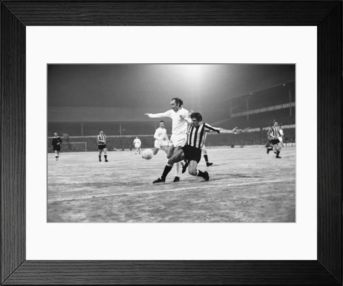 Framed Print : FA Cup Third Round replay at White Hart Lane. Tottenham Hostpur 5 v Bradford City 0 Framed Print : FA Cup Third Round replay at White Hart Lane. Tottenham Hostpur 5 v Bradford City 0