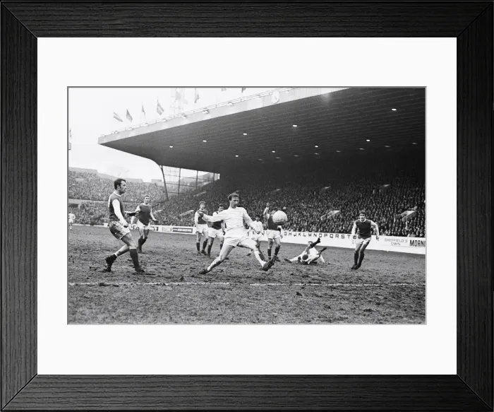 Framed Print : FA Cup Third Round match at Hillsborough. Sheffield Wednesday 1-1 Leeds United Framed Print : FA Cup Third Round match at Hillsborough. Sheffield Wednesday 1-1 Leeds United