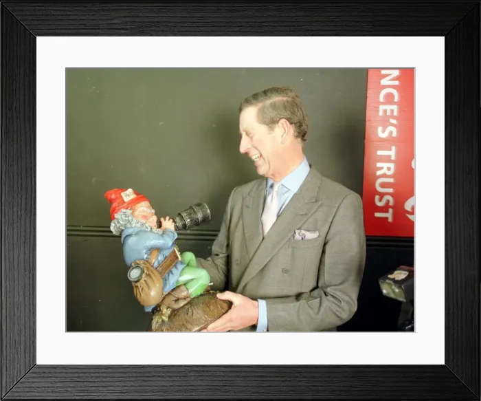 Framed Print : Prince Charles and a garden gnome November 1998 The gnome was a 50th birthday gift