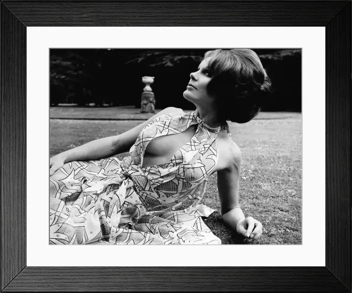 Framed Print : Elke Sommer Actress Framed Print : Elke Sommer Actress