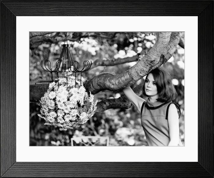 Framed Print : Natalie Wood actress in garden Framed Print : Natalie Wood actress in garden