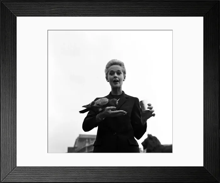 Framed Print : Tippi Hendren Actress star of the film The Birds Tippi Hedren Framed Print : Tippi Hendren Actress star of the film The Birds Tippi Hedren