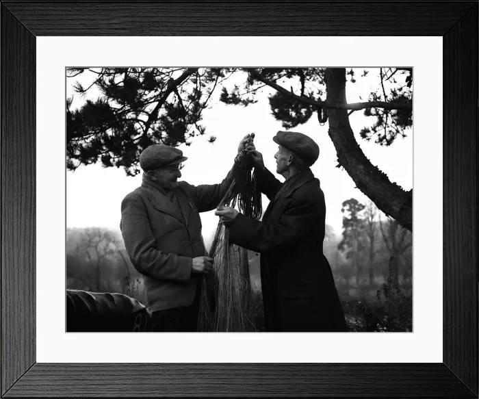Framed Print : Coracle Fisherman sorting out their fishing nets 1952 Framed Print : Coracle Fisherman sorting out their fishing nets 1952