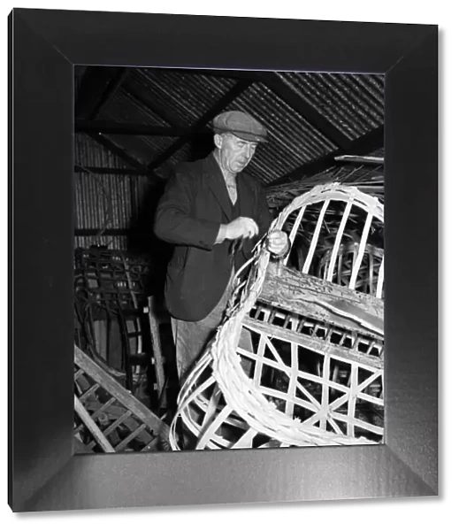 Coracle Fisherman constructing a new boat - 1952